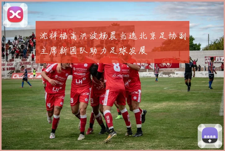 沈祥福高洪波杨晨当选北京足协副主席新团队助力足球发展